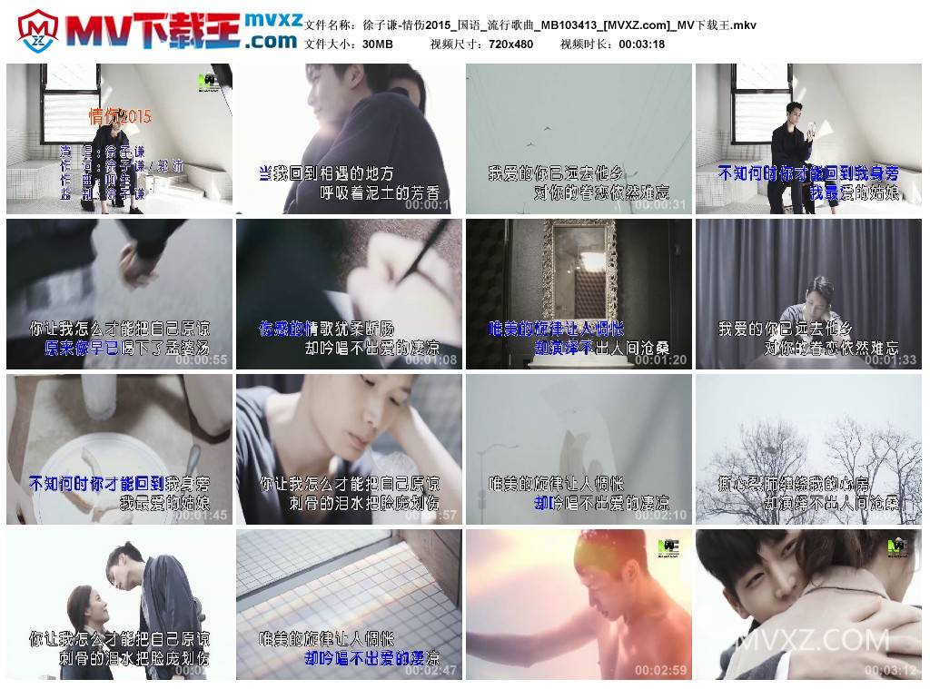 徐子谦-情伤2015_国语_流行歌曲_MB103413